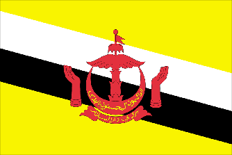 Flag Brunei Travel Insurance Flag Brunei Travel Insurance